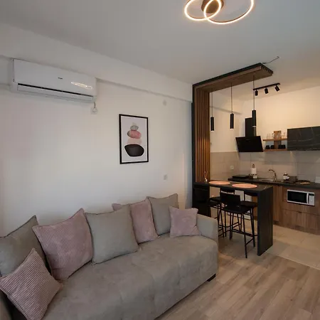 Apartment Petkovic 87 *