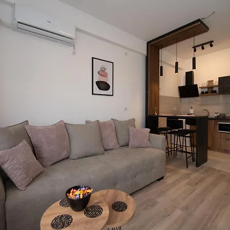 Apartment Petkovic 87 *