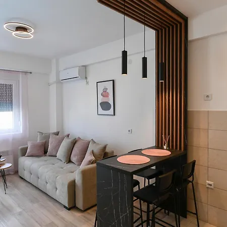 Apartment Petkovic 87 *