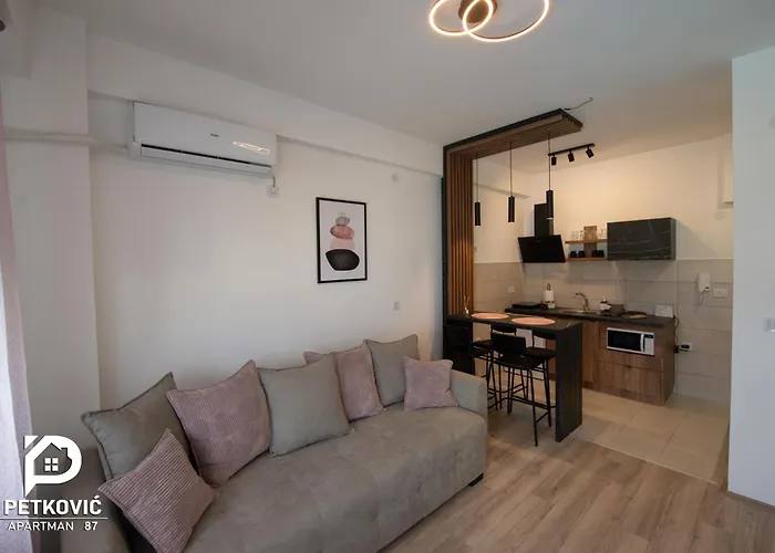 Apartament Petkovic 87 *