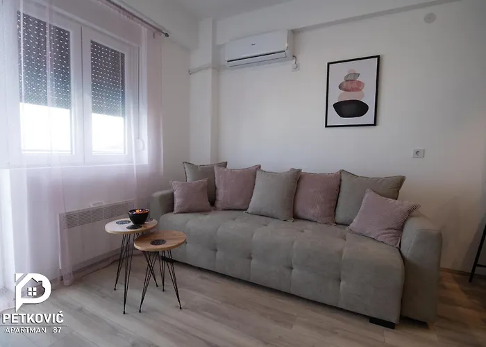 Apartament Petkovic 87 Jagodina