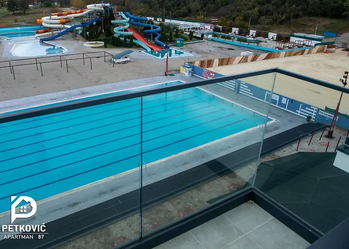 Petkovic 87 Jagodina