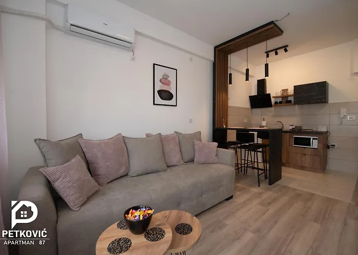 Apartament Petkovic 87 *