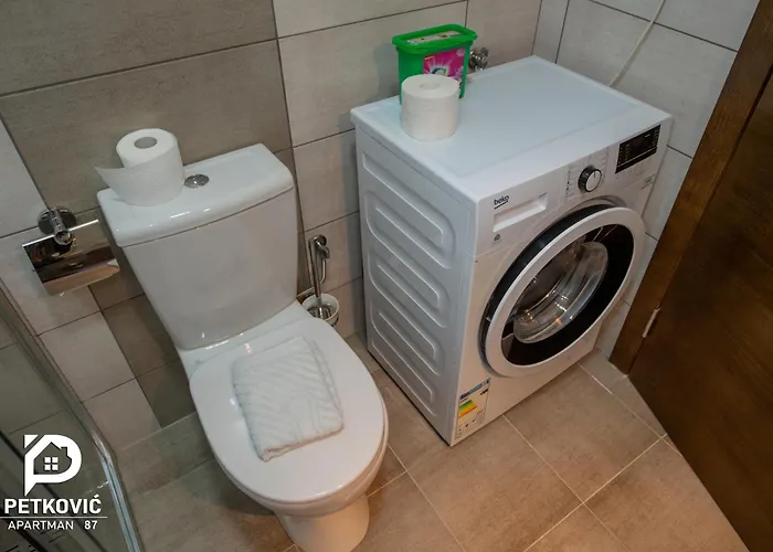 Petkovic 87 Apartament *