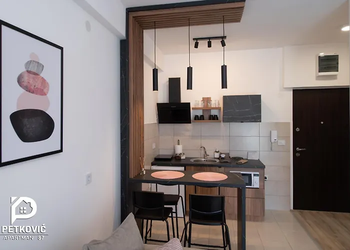 Petkovic 87 Apartament *