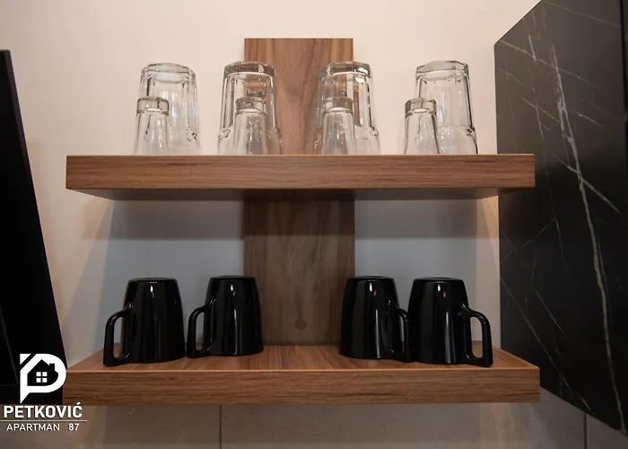 Petkovic 87 Jagodina