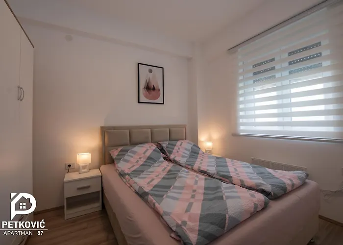 Apartament Petkovic 87 *