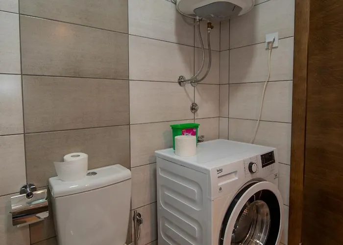 Apartament Petkovic 87 *