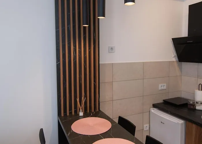 Apartament Petkovic 87